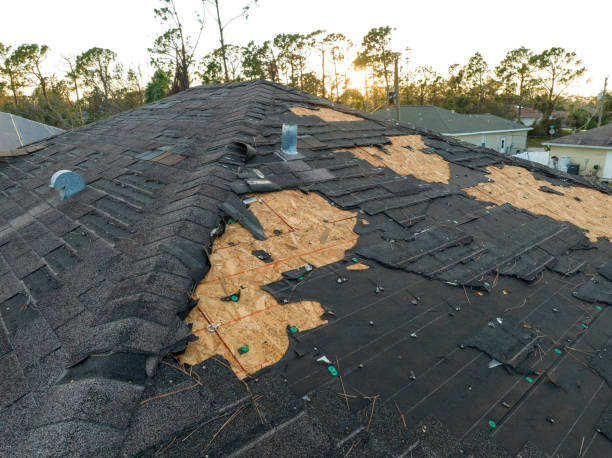Best Roof Moss and Algae Removal  in Caddo Mills, TX